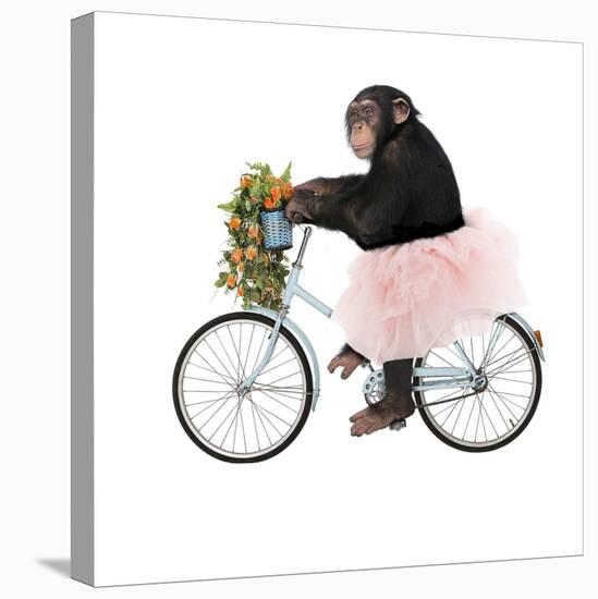 Monkeys Riding Bikes #1-J Hovenstine Studios-Stretched Canvas