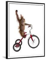 Monkeys Riding Bikes #2-J Hovenstine Studios-Framed Premium Giclee Print
