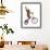 Monkeys Riding Bikes #2-J Hovenstine Studios-Framed Premium Giclee Print displayed on a wall