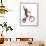 Monkeys Riding Bikes #2-J Hovenstine Studios-Framed Premium Giclee Print displayed on a wall