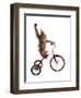 Monkeys Riding Bikes #2-J Hovenstine Studios-Framed Giclee Print