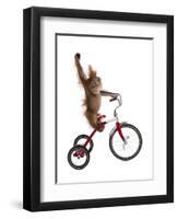 Monkeys Riding Bikes #2-J Hovenstine Studios-Framed Giclee Print