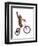 Monkeys Riding Bikes #2-J Hovenstine Studios-Framed Giclee Print