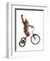 Monkeys Riding Bikes #2-J Hovenstine Studios-Framed Giclee Print