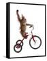 Monkeys Riding Bikes #2-J Hovenstine Studios-Framed Stretched Canvas