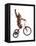 Monkeys Riding Bikes #2-J Hovenstine Studios-Framed Stretched Canvas