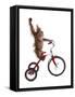 Monkeys Riding Bikes #2-J Hovenstine Studios-Framed Stretched Canvas