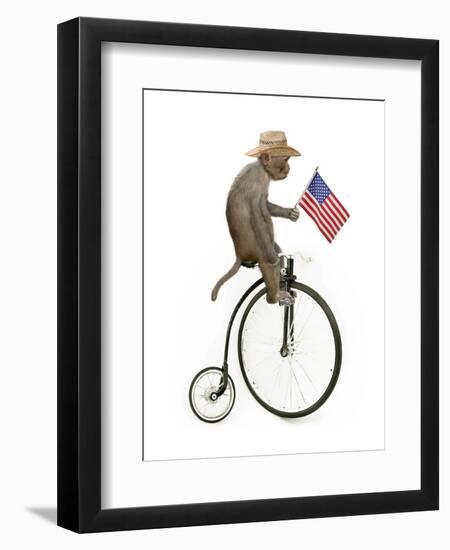 Monkeys Riding Bikes #3-J Hovenstine Studios-Framed Premium Giclee Print