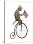 Monkeys Riding Bikes #3-J Hovenstine Studios-Stretched Canvas