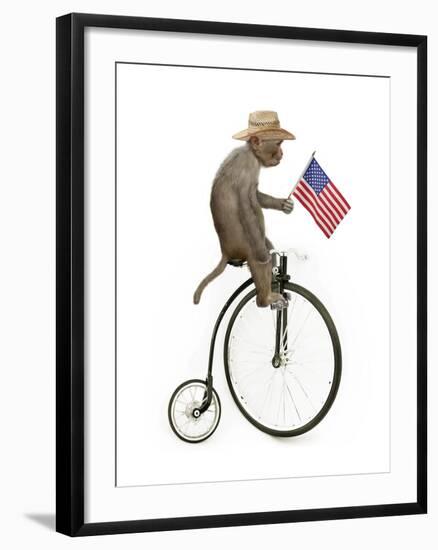 Monkeys Riding Bikes #3-J Hovenstine Studios-Framed Giclee Print