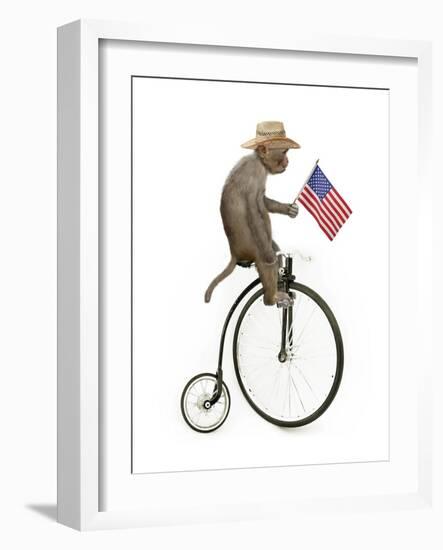 Monkeys Riding Bikes #3-J Hovenstine Studios-Framed Giclee Print