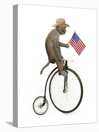 Monkeys Riding Bikes #3-J Hovenstine Studios-Stretched Canvas