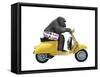 Monkeys Riding Bikes #4-J Hovenstine Studios-Framed Stretched Canvas