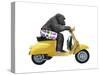 Monkeys Riding Bikes #4-J Hovenstine Studios-Stretched Canvas