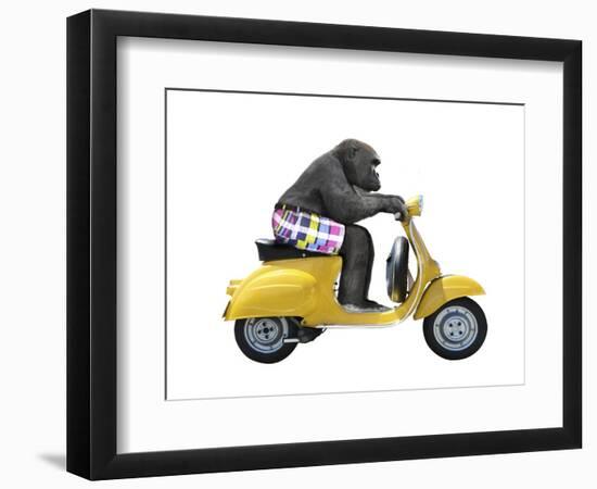 Monkeys Riding Bikes #4-J Hovenstine Studios-Framed Premium Giclee Print