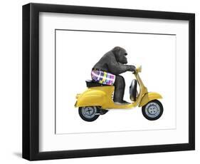 Monkeys Riding Bikes #4-J Hovenstine Studios-Framed Premium Giclee Print