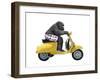 Monkeys Riding Bikes #4-J Hovenstine Studios-Framed Giclee Print