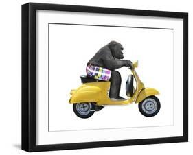 Monkeys Riding Bikes #4-J Hovenstine Studios-Framed Giclee Print
