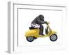 Monkeys Riding Bikes #4-J Hovenstine Studios-Framed Giclee Print