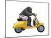 Monkeys Riding Bikes #4-J Hovenstine Studios-Mounted Giclee Print