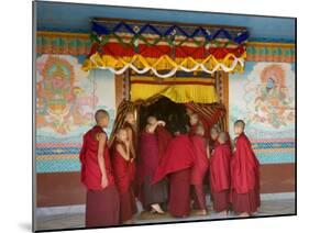 Monks at Tibetan Buddhist Monastery, Kathmandu, Nepal-Demetrio Carrasco-Mounted Photographic Print