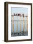 Monks Crossing the U Bien Bridge across Taungthaman Lake, Amarapura, Mandalay, Myanmar (Burma)-Jordan Banks-Framed Photographic Print