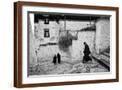 Brown Frame