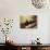 Monks During Za-Zen Meditation in the Zazen Hall, Elheiji Zen Monastery, Japan-Ursula Gahwiler-Photographic Print displayed on a wall