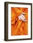 Monks Hands, Siem Reap, Cambodia, Indochina, Southeast Asia, Asia-Jordan Banks-Framed Photographic Print