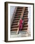 Monks in Punakha Dzong, Punakha, Bhutan-Keren Su-Framed Photographic Print