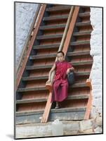 Monks in Punakha Dzong, Punakha, Bhutan-Keren Su-Mounted Photographic Print