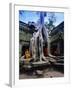 Monks in the Ta Prohm Temple, Angkor, Unesco World Heritage Site, Siem Reap, Cambodia, Asia-Gavin Hellier-Framed Photographic Print