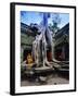 Monks in the Ta Prohm Temple, Angkor, Unesco World Heritage Site, Siem Reap, Cambodia, Asia-Gavin Hellier-Framed Photographic Print