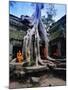 Monks in the Ta Prohm Temple, Angkor, Unesco World Heritage Site, Siem Reap, Cambodia, Asia-Gavin Hellier-Mounted Photographic Print