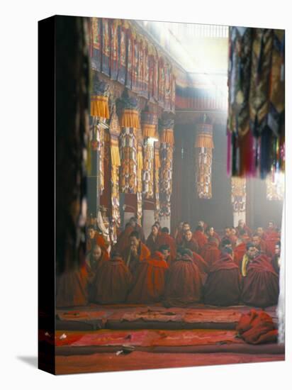 Monks Inside the Main Prayer Hall, Drepung Buddhist Monastery, Lhasa, Tibet, China-Tony Waltham-Stretched Canvas