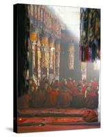 Monks Inside the Main Prayer Hall, Drepung Buddhist Monastery, Lhasa, Tibet, China-Tony Waltham-Stretched Canvas