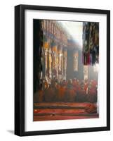 Monks Inside the Main Prayer Hall, Drepung Buddhist Monastery, Lhasa, Tibet, China-Tony Waltham-Framed Photographic Print