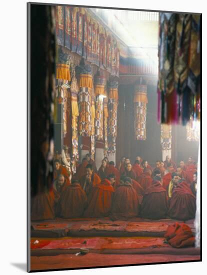 Monks Inside the Main Prayer Hall, Drepung Buddhist Monastery, Lhasa, Tibet, China-Tony Waltham-Mounted Photographic Print
