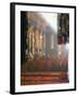 Monks Inside the Main Prayer Hall, Drepung Buddhist Monastery, Lhasa, Tibet, China-Tony Waltham-Framed Photographic Print