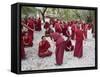 Monks Learning Session, with Masters and Students, Sera Monastery, Tibet, China-Ethel Davies-Framed Stretched Canvas