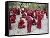 Monks Learning Session, with Masters and Students, Sera Monastery, Tibet, China-Ethel Davies-Framed Stretched Canvas