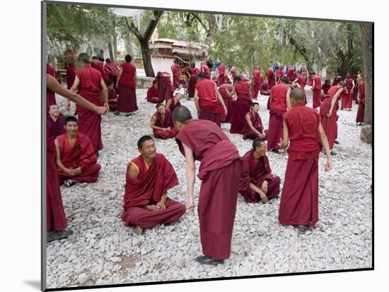 Monks Learning Session, with Masters and Students, Sera Monastery, Tibet, China-Ethel Davies-Mounted Photographic Print