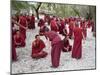 Monks Learning Session, with Masters and Students, Sera Monastery, Tibet, China-Ethel Davies-Mounted Photographic Print