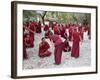 Monks Learning Session, with Masters and Students, Sera Monastery, Tibet, China-Ethel Davies-Framed Photographic Print