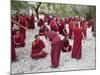 Monks Learning Session, with Masters and Students, Sera Monastery, Tibet, China-Ethel Davies-Mounted Photographic Print