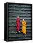 Monks on Steps, Angkor Wat, Siem Reap, Cambodia, Indochina, Asia-Gavin Hellier-Framed Stretched Canvas