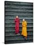 Monks on Steps, Angkor Wat, Siem Reap, Cambodia, Indochina, Asia-Gavin Hellier-Stretched Canvas