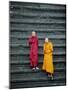 Monks on Steps, Angkor Wat, Siem Reap, Cambodia, Indochina, Asia-Gavin Hellier-Mounted Photographic Print