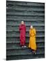 Monks on Steps, Angkor Wat, Siem Reap, Cambodia, Indochina, Asia-Gavin Hellier-Mounted Photographic Print