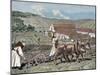 Monks Plowing the Land with Oxen, Germany (1872)-Prisma Archivo-Mounted Photographic Print